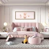 Pink - toned princess room